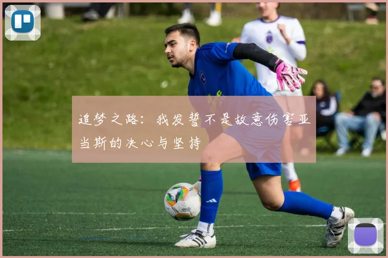 追梦之路：我发誓不是故意伤害亚当斯的决心与坚持