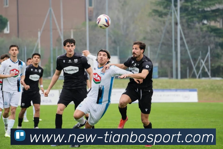 App Interface Preview